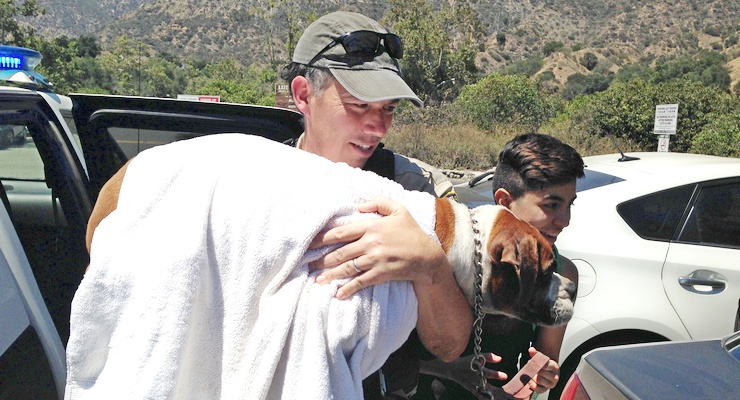Emergency Crews Rescue Four-Legged Heat Stroke Victim in Eaton Canyon